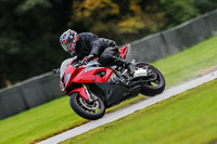 PJ-Motorsport-Photography-2020;anglesey;brands-hatch;cadwell-park;croft;donington-park;enduro-digital-images;event-digital-images;eventdigitalimages;mallory;no-limits;oulton-park;peter-wileman-photography;racing-digital-images;silverstone;snetterton;trackday-digital-images;trackday-photos;vmcc-banbury-run;welsh-2-day-enduro